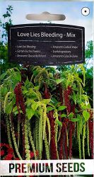 Love Lies Bleeding Mixed Seeds